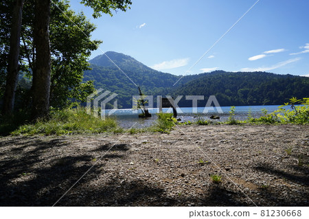 長野縣志賀高原大沼池到赤石山徒步旅行起點附近的大沼池正面是滋賀山 長野縣志賀高原大沼池到赤石山徒步旅行起點附近的大沼池正面是滋賀山 81230668