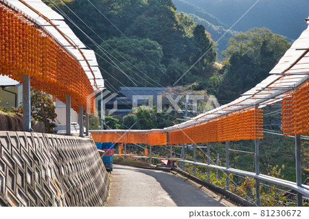 【和歌山縣】11月,串柿之裡志護 【和歌山縣】11月,串柿之裡志護 81230672