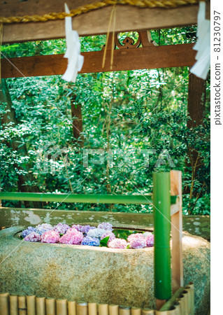 Taga Taisha Mando Matsuri 148 81230797