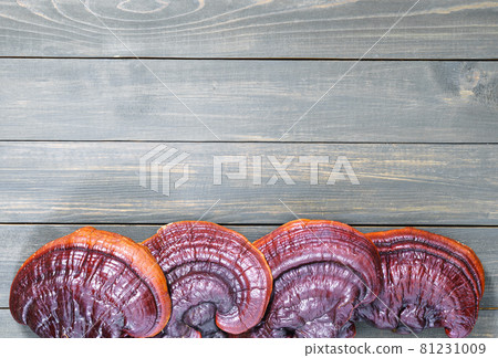 Ganoderma lucidum mushroom on wooden floor Ganoderma lucidum mushroom on wooden floor 81231009