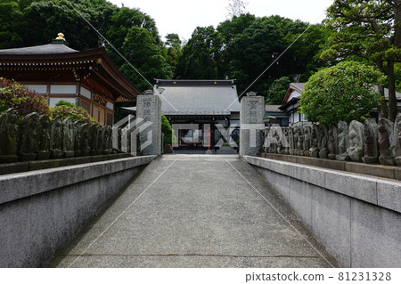 淨流寺 81231328