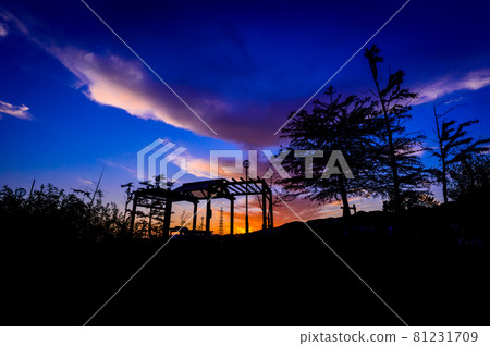 Sunset at Yamatedaikita Park, Takarazuka City, November 15, Japan 81231709