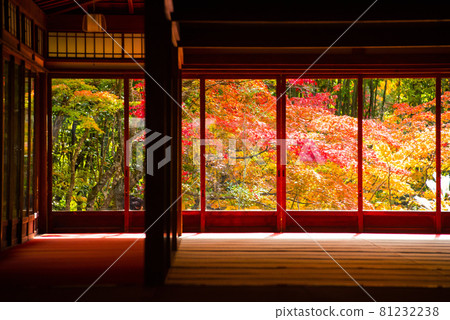 Autumn leaves of Kyoto Tenju-an 81232238