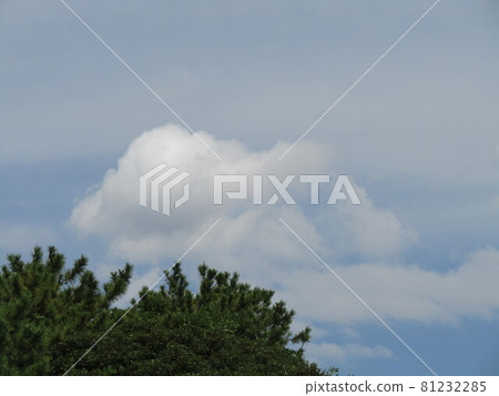 夏天的藍天白雲 夏天的藍天白雲 81232285
