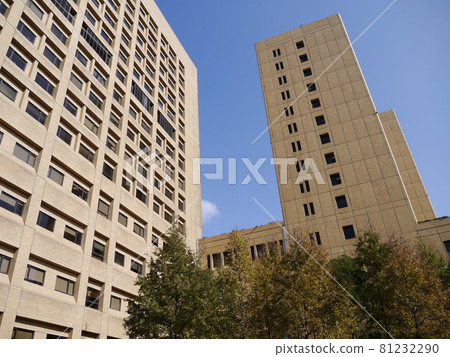 National Taiwan University School of Medicine National Taiwan University School of Medicine 81232290