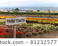  Flower garden 81232577