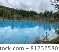 Blue pond 81232580