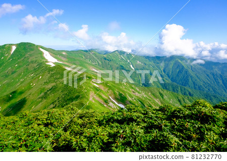 高山植物盛開的名山旭山(朝日山脈),由美麗的山脊和雪谷交織而成的壯麗山景 高山植物盛開的名山旭山(朝日山脈),由美麗的山脊和雪谷交織而成的壯麗山景 81232770