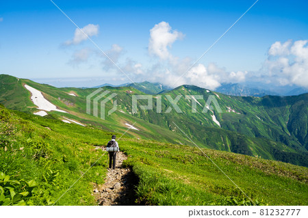 Mt. Asahi (Asahi mountain range), a famous mountain with alpine plants in full bloom and a magnificent mountain landscape woven by beautiful ridges and snowy valleys 81232777