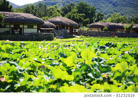Summer scenery, Oeam Folk Village 81232816