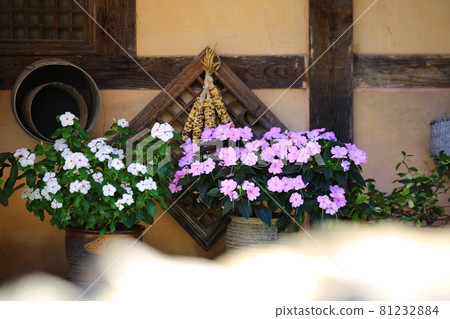 Summer scenery, Oeam Folk Village 81232884