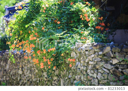 Folk village, summer trip 81233013