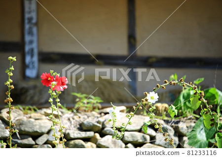 Folk village, summer trip 81233116