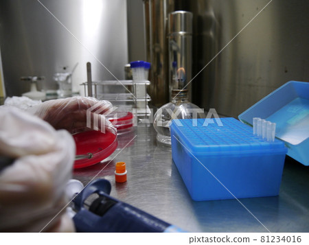 Bacterial culture Bacterial culture 81234016