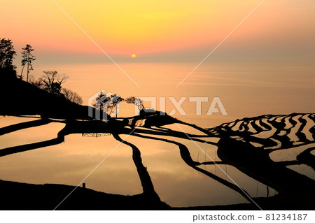 [Ishikawa Prefecture] Sunset at Shiroyone Senmaida 81234187