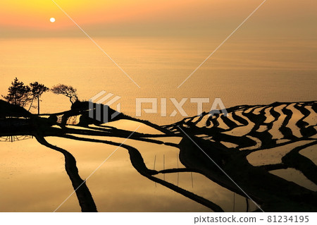 [Ishikawa Prefecture] Sunset at Shiroyone Senmaida 81234195