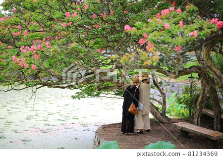 Old house, famous house, travel Old house, famous house, travel 81234369