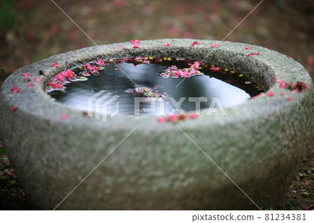 Old house, famous house, travel Old house, famous house, travel 81234381