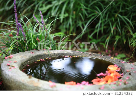 Old house, famous house, travel Old house, famous house, travel 81234382