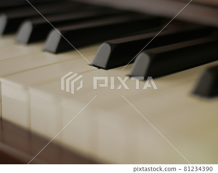 piano 81234390