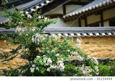 Old house scenery, Myeongjae old house Old house scenery, Myeongjae old house 81234494
