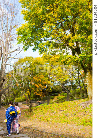 京都墨線，京都市 81234504