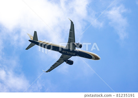 Passenger plane taking off from Narita Airport Passenger plane taking off from Narita Airport 81235191