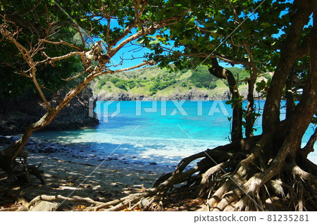 Chichijima / Kopepe Beach (Ogasawara Village, Tokyo / Ogasawara Islands) Chichijima / Kopepe Beach (Ogasawara Village, Tokyo / Ogasawara Islands) 81235281
