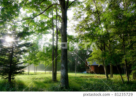 Summer is over and it was hot at the foot of the mountain 81235729