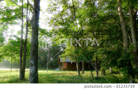 Summer is over and it was hot at the foot of the mountain 81235730