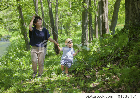 Parents and children looking for insects in the forest Parents and children looking for insects in the forest 81236414