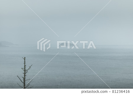 宮城縣氣仙沼市 海景絕美 半島上的風景 小鹿半藏 小鹿半藏 宮城縣氣仙沼市 海景絕美 半島上的風景 小鹿半藏 小鹿半藏 81236416