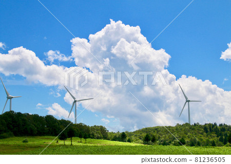 Nunobiki-style plateau summer (Koriyama City, Konan Town) Nunobiki-style plateau summer (Koriyama City, Konan Town) 81236505