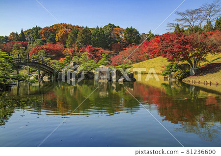 廣島縣三原市三溪園的秋葉 日本庭園的秋葉 81236600