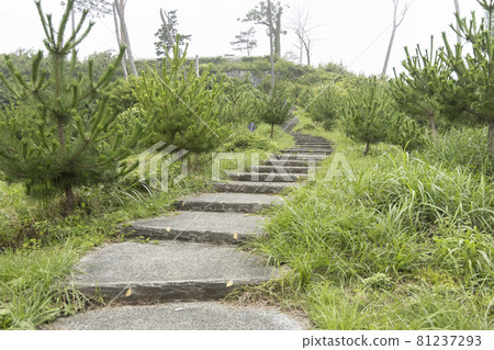 宮城縣氣仙沼市公園樓梯 宮城縣氣仙沼市公園樓梯 81237293