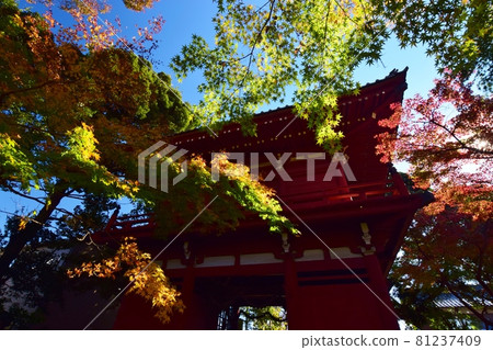 Hondoji Temple in autumn colors Hondoji Temple in autumn colors 81237409