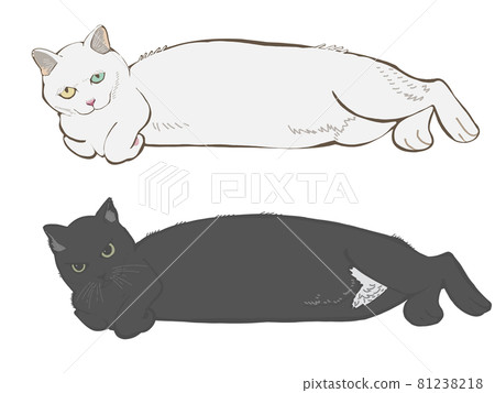軀幹貓 1 軀幹貓 1 81238218