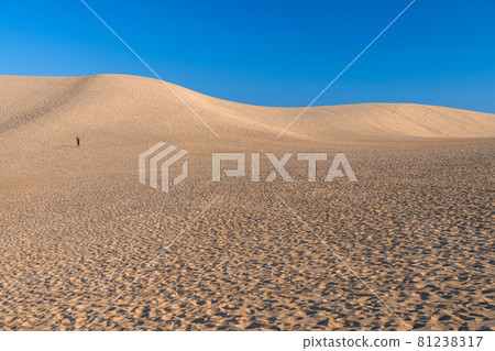 《鳥取縣》 清晨靜謐的鳥取沙丘 《鳥取縣》 清晨靜謐的鳥取沙丘 81238317