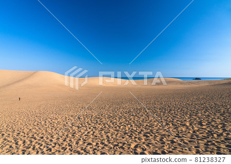 《Tottori Prefecture》 Early morning quiet Tottori sand dunes 81238327