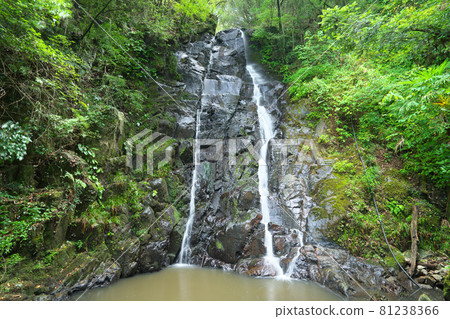 流經岡山縣美作市二條市的千早野瀑布 81238366