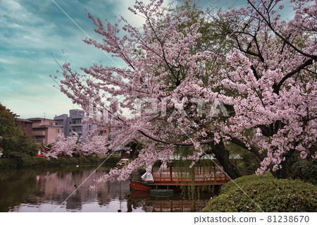 Shinsen-en Garden 2021 Shinsen-en Garden 2021 81238670