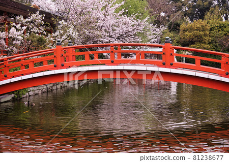 Shinsen-en Garden 2021 Shinsen-en Garden 2021 81238677