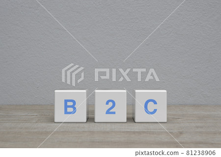 Business to customer marketing and strategy concept Business to customer marketing and strategy concept 81238906