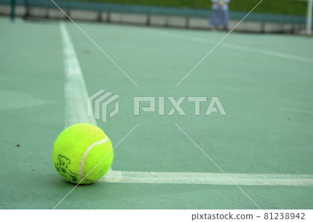 網球場和網球 81238942