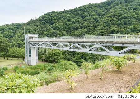Aikawa Park Fureai Bridge 81239069