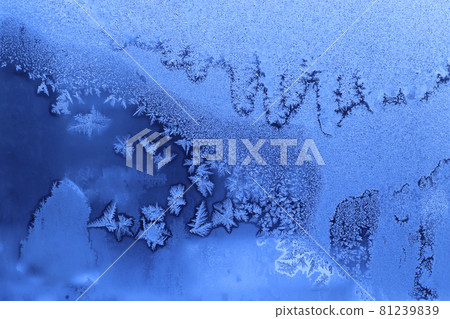 Ice pattern close up on winter window 81239839