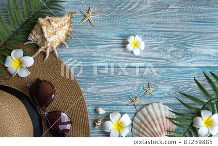 Summer vacation concept 81239885
