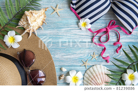 Summer vacation concept 81239886