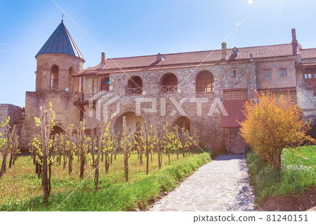 Alaverdi monastery vineyard in Kakhetia, Georgia Alaverdi monastery vineyard in Kakhetia, Georgia 81240151