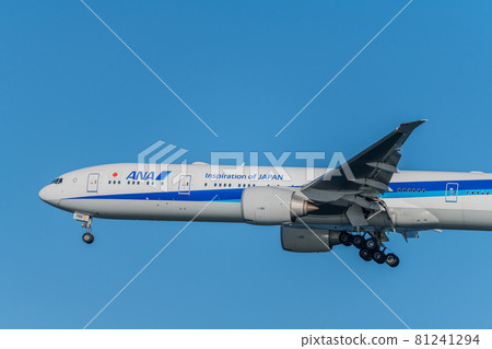 [全日空飛機從浮島町公園降落在A跑道上] 81241294